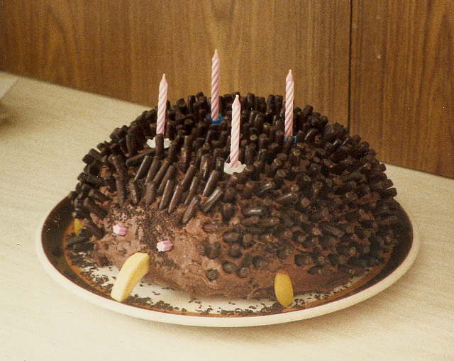 echidna cake0001