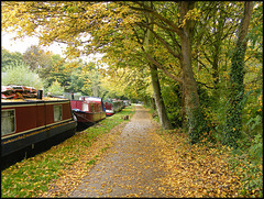 towpath in autumn
