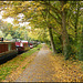 towpath in autumn