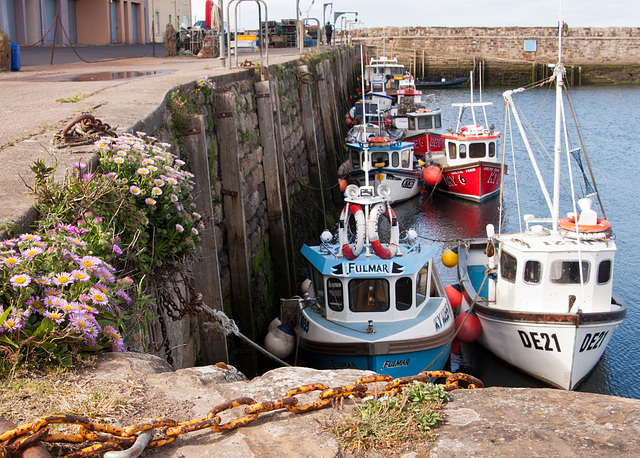 The fleet in port