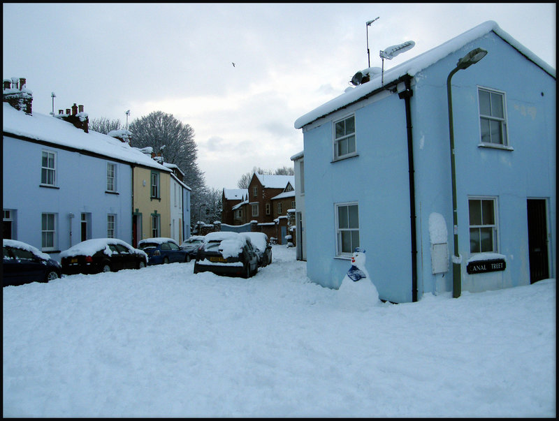 Nelson Street snowman