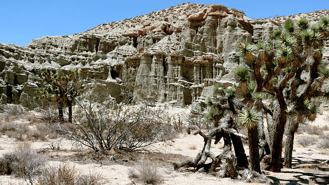 Red Rock Canyon State Park