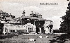 Glemham Grove, Great Glemham, Suffolk