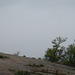 DSCN2572