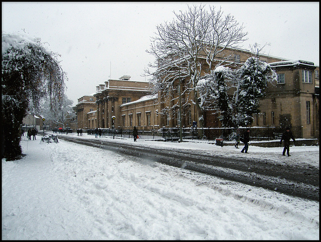 winter in Jericho