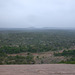 DSCN2556