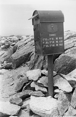 Old Gold0003 Mt Kosciusko