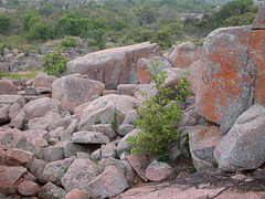 Enchanted Rock - Texas, USA