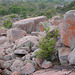 Enchanted Rock - Texas, USA