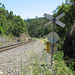 201001BorderRangesRail25Jan 052