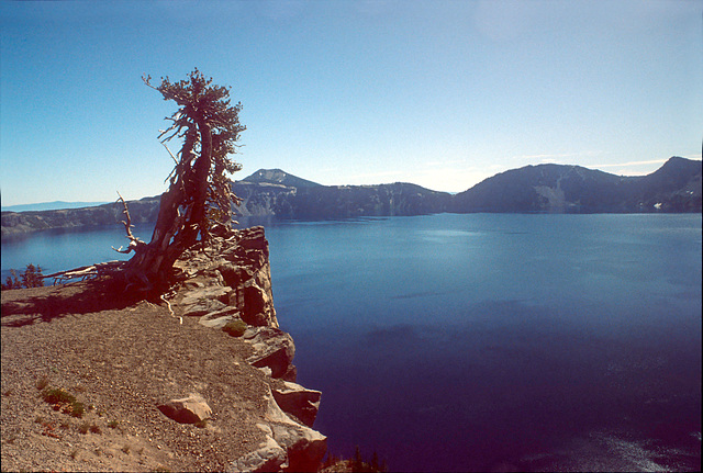 11-oregon_ig_adj2