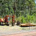 201001BorderRangesRail25Jan 054