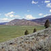 4-11-Idaho93_ig_adj