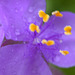 DSCN2620