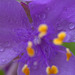DSCN2621