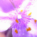 DSCN2622
