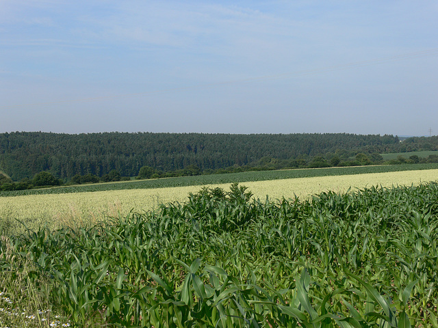 Auf dem Münchshofener Berg