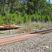 201001BorderRangesRail25Jan 053