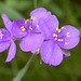 DSCN2623