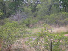 DSCN2627