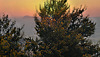 DSCF2570