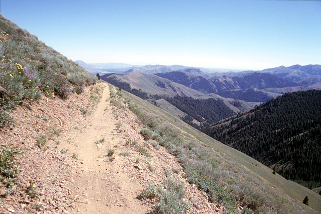 Mountain bike trail, Sun Valley ski area