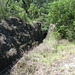 201001BorderRangesRail25Jan 049