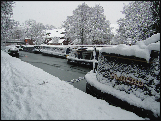 snowy boats at Whitworth Place