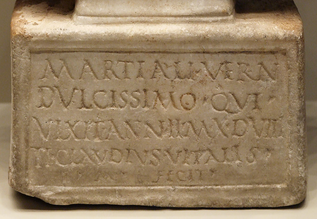 Detail of the Inscription on the Bust of Boy Named Martial in the Getty Villa, July 2008