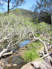 CrowsNestFalls201109 001