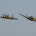 Sea Fury + Sea Hurricane