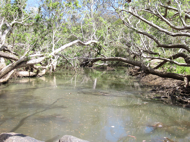 CrowsNestFalls201109 007