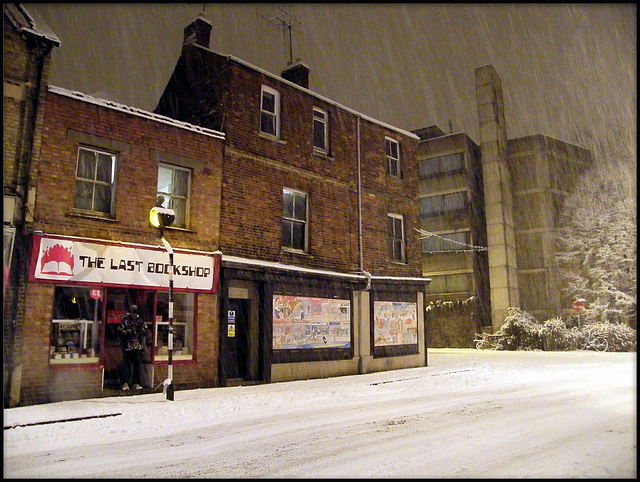 zebra crossing on a snowy night