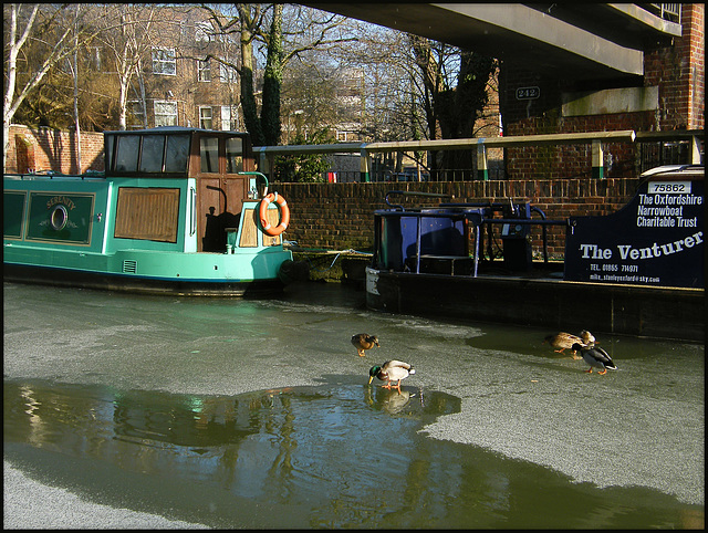 icy canal at Mount Place