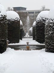 Winter im Maurischen Garten (Wilhelma)