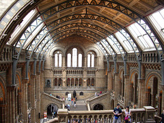 Natural History Museum: Entrance Hall