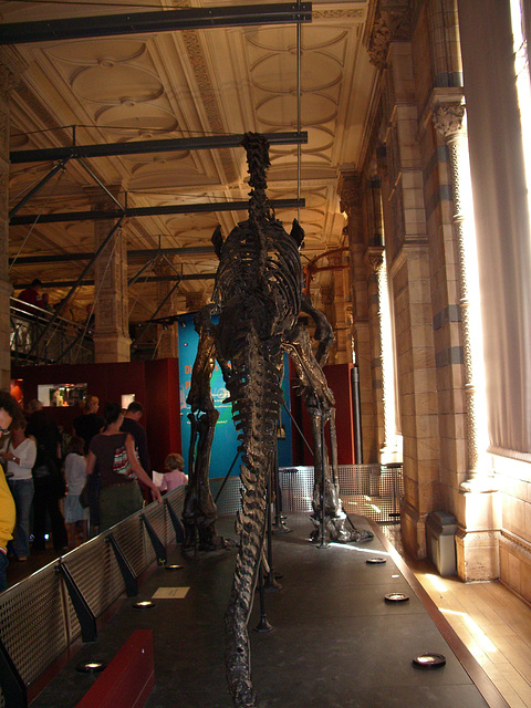 Natural History Museum