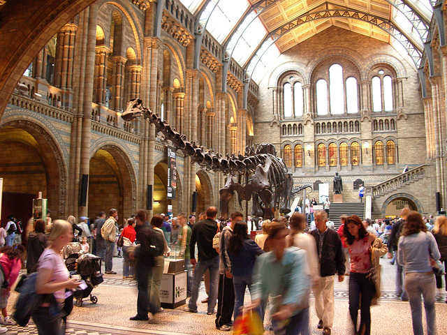 Natural History Museum