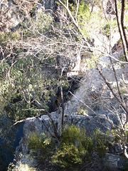 CrowsNestFalls201109 040