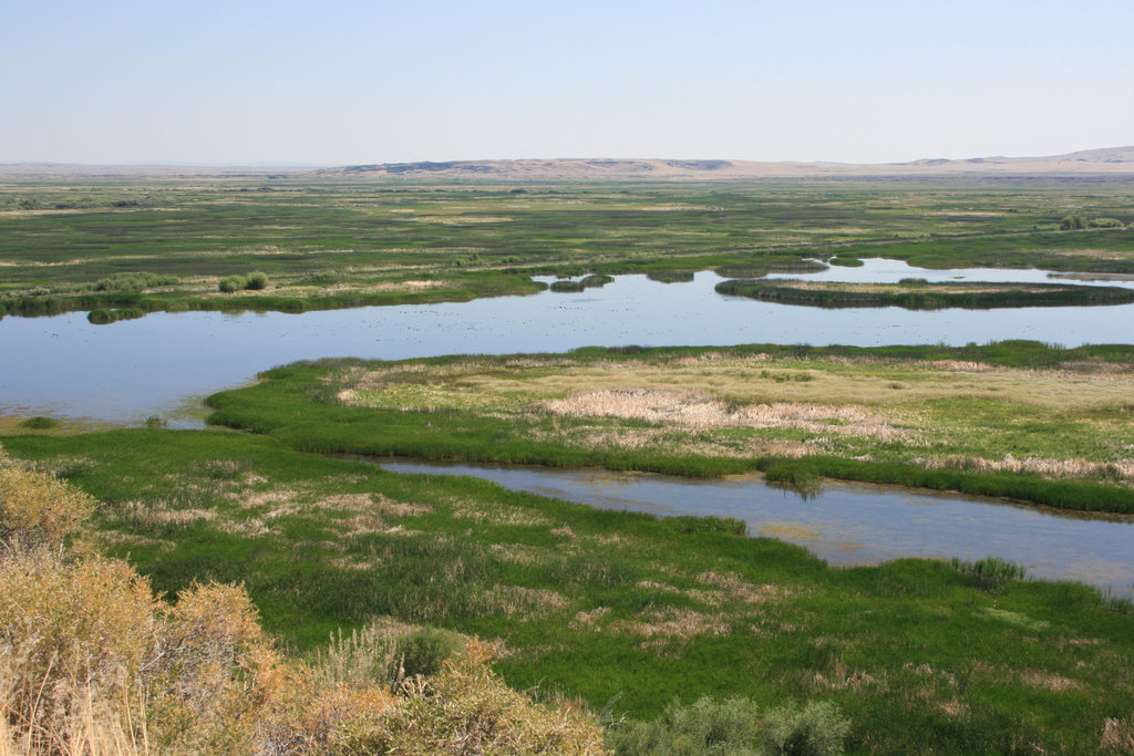 Malheur National Wildlife Area