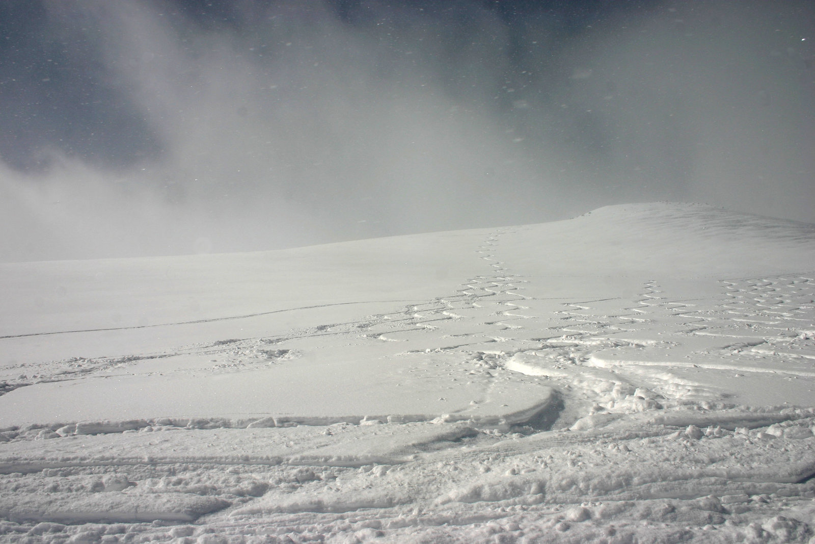 First Tracks