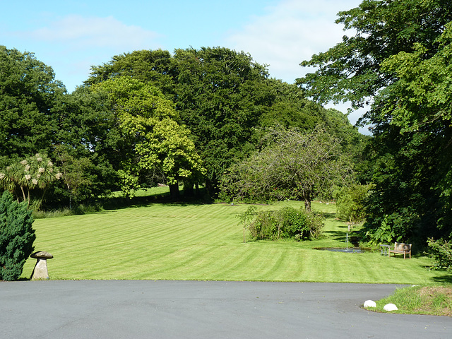 Plas Dinas (3) - 3 July 2013