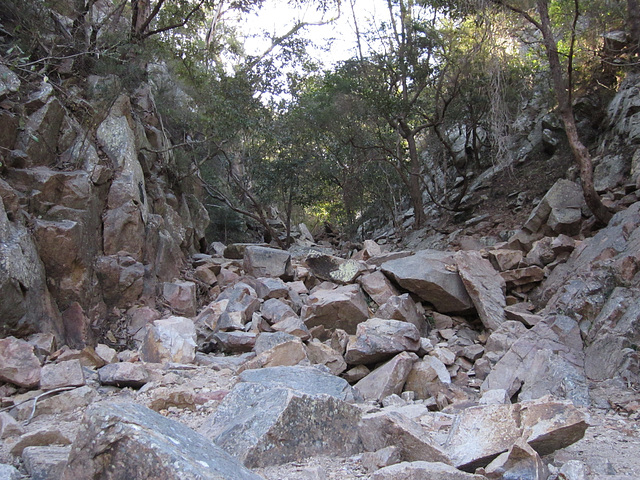 CrowsNestFalls201109 059