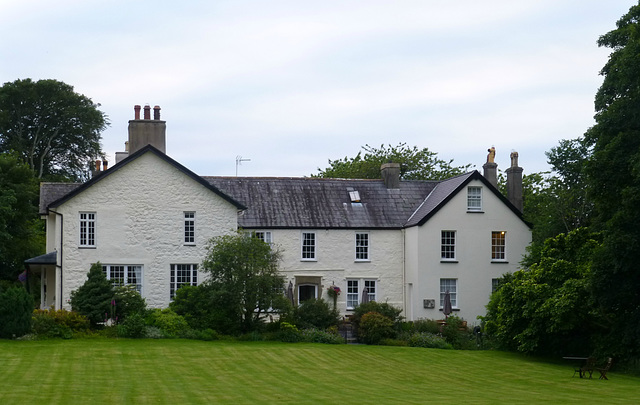 Plas Dinas (4) - 3 July 2013