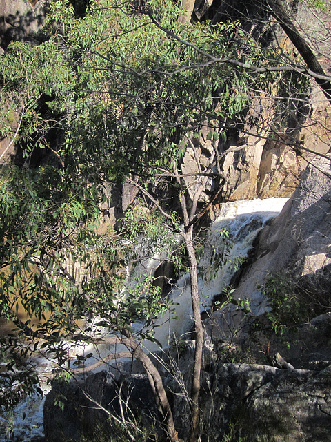 CrowsNestFalls201304 006