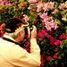 Hampton Court Flower Show Digilux 2 Photographer