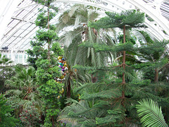 Kew Gardens