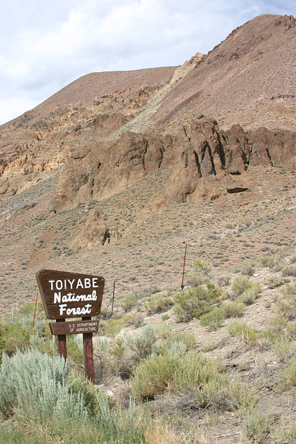 Toiyabe National Forest