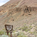 Toiyabe National Forest