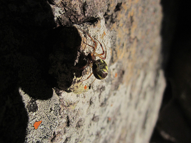 CrowsNestFalls201304 032